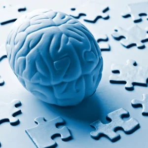 Maitriser la pensée critique